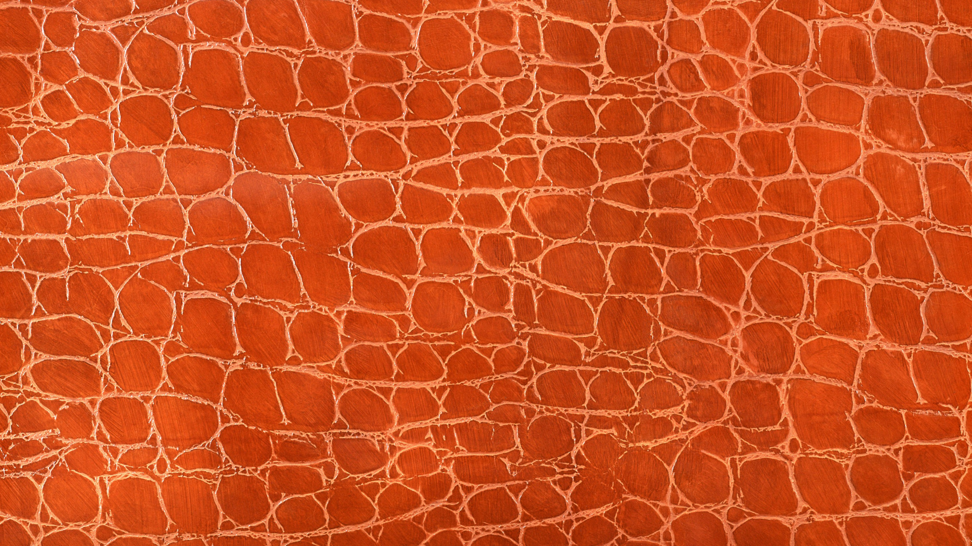 Обои иллюстрация, векторная графика, Апельсин, узор, персик в разрешении 1920x1080