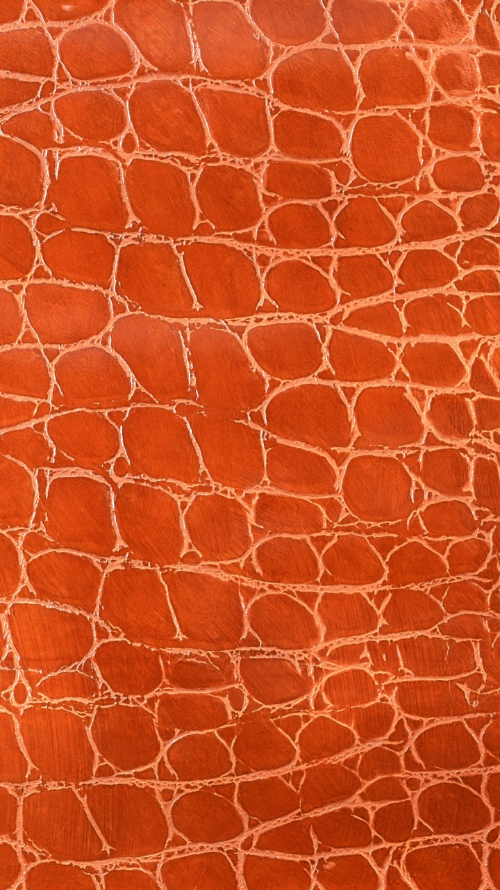 Обои иллюстрация, векторная графика, Апельсин, узор, персик в разрешении 720x1280