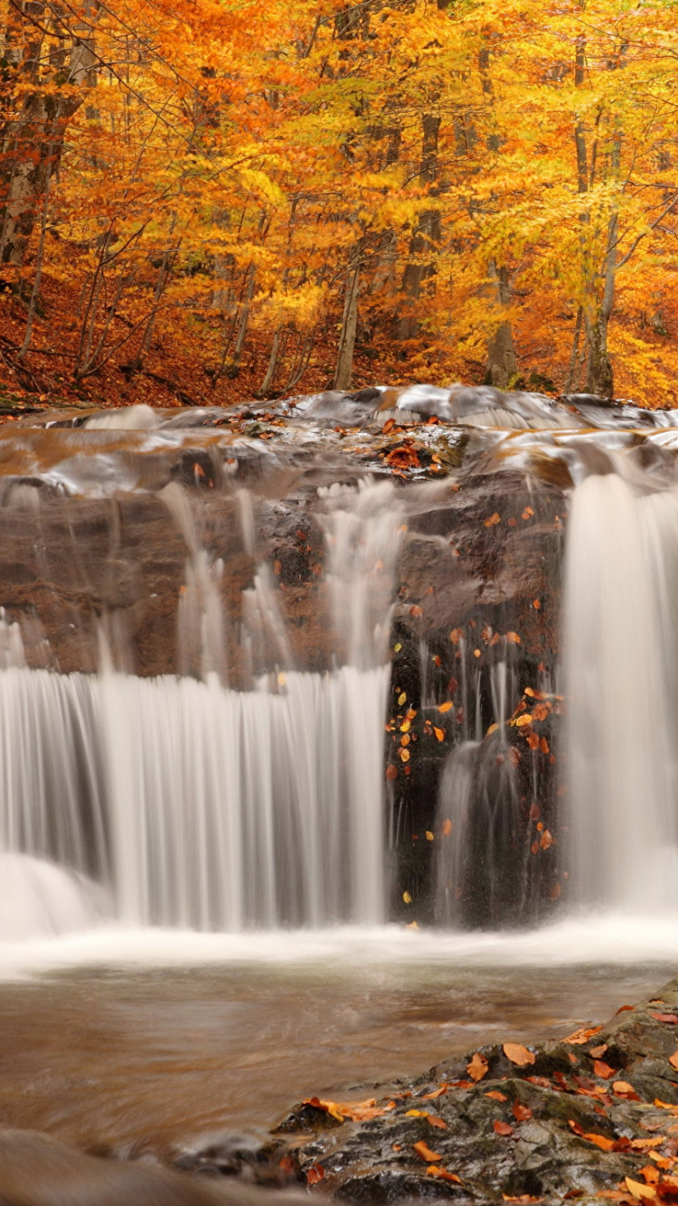 Обои осенний водопад, водопад, природа, осень, водоем в разрешении 750x1334