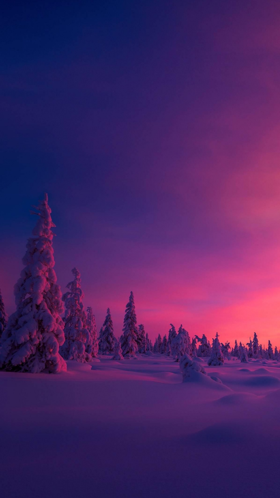 Обои Северный полюс, Арктика, атмосфера, облако, растение в разрешении 1080x1920