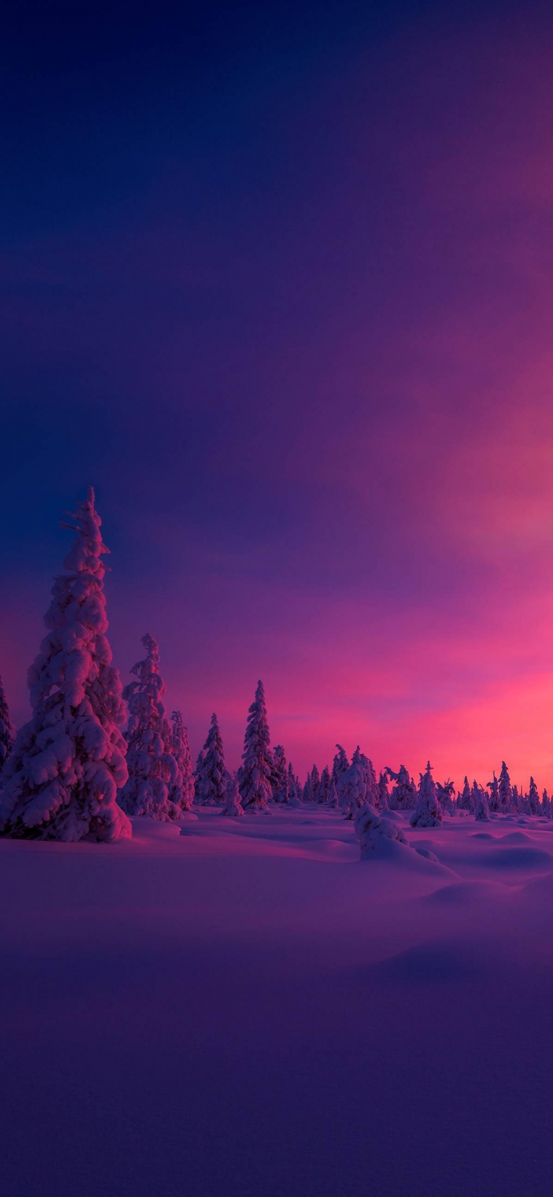 Обои Северный полюс, Арктика, атмосфера, облако, растение в разрешении 1125x2436