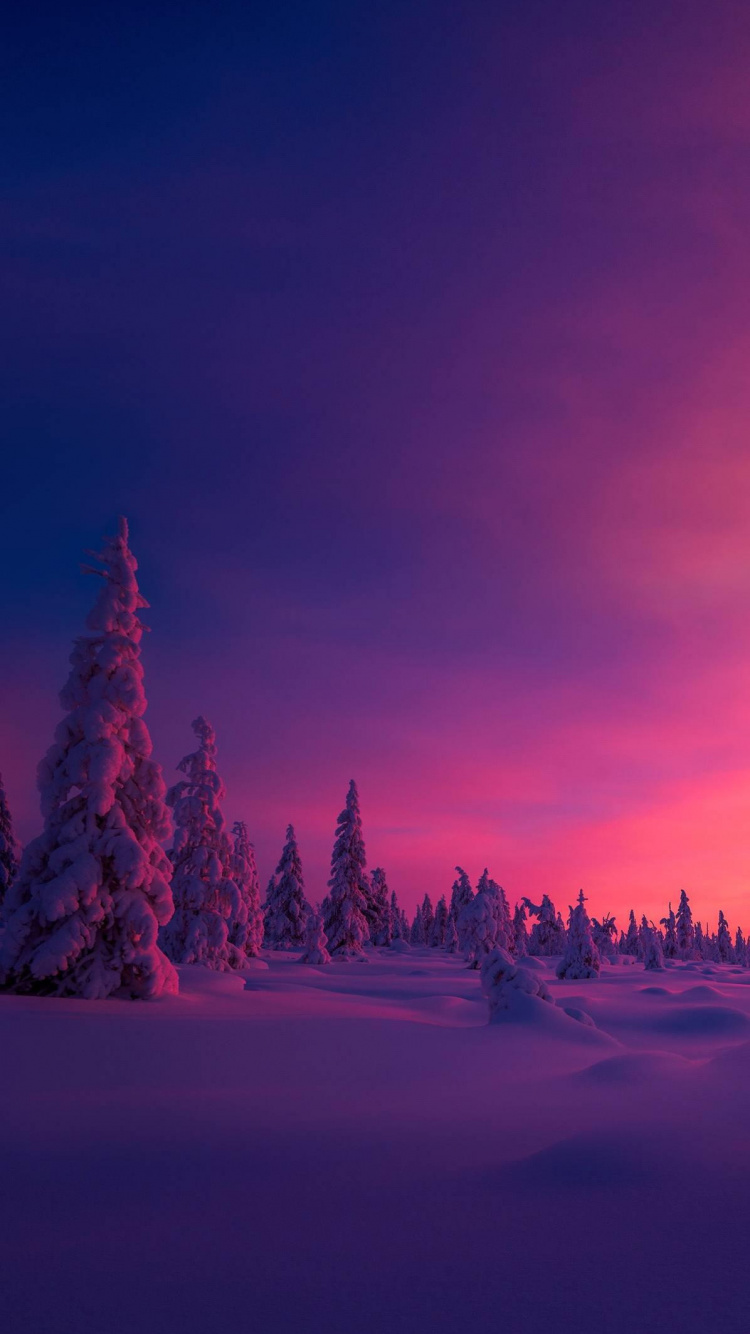 Обои Северный полюс, Арктика, атмосфера, облако, растение в разрешении 750x1334