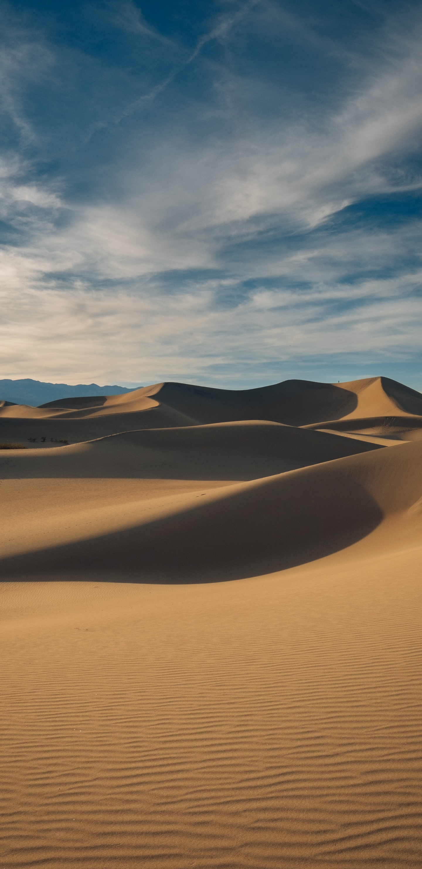 Обои песок, эрг, окружающая среда, эолийские рельефы, природа в разрешении 1440x2960