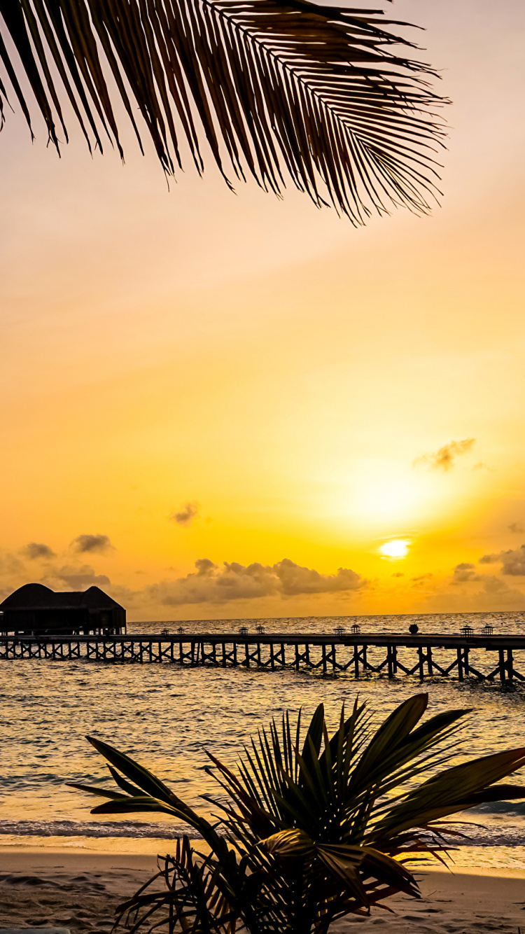 Обои халавели, море, прибежище, закат, горизонт в разрешении 750x1334