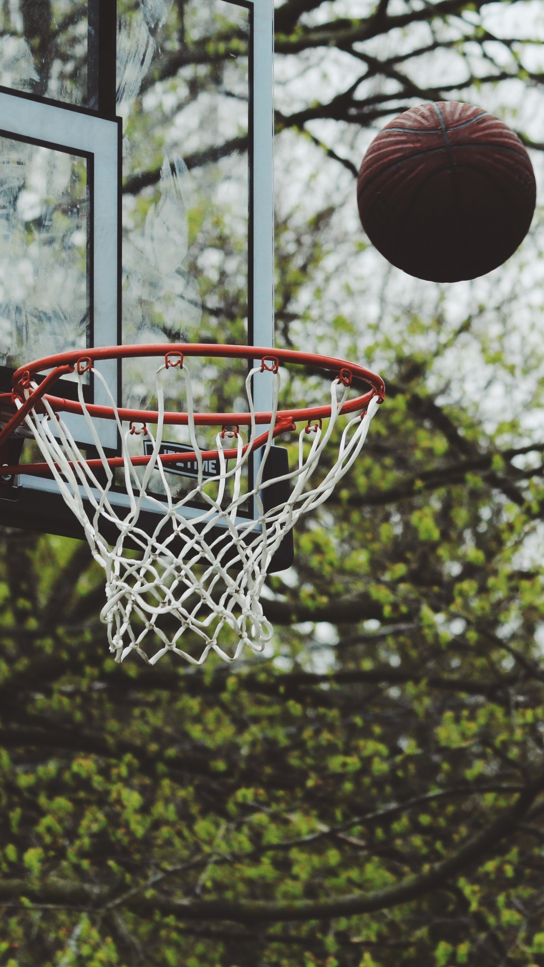 Обои Баскетбол, мяч, баскетбольная площадка, дерево, стритбол в разрешении 1080x1920