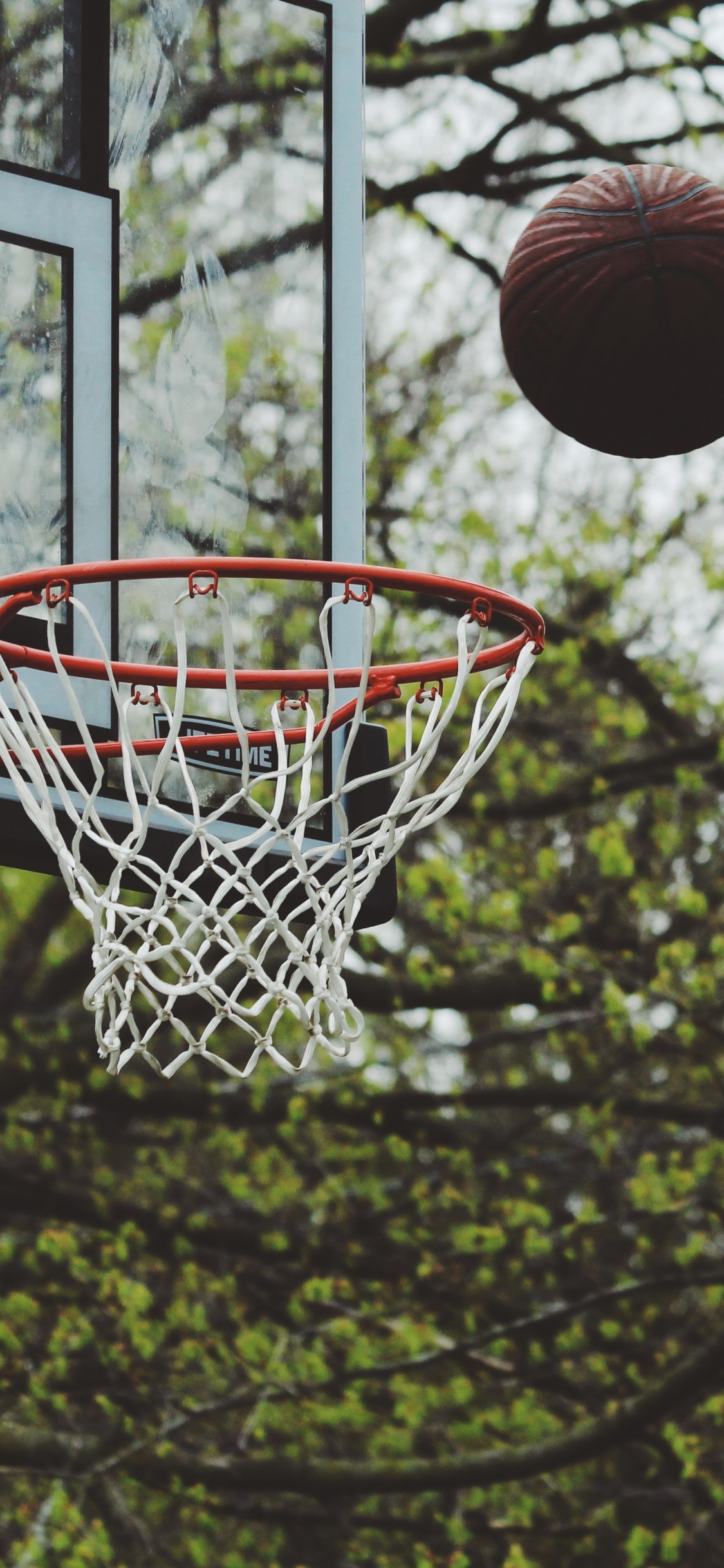 Обои Баскетбол, мяч, баскетбольная площадка, дерево, стритбол в разрешении 1125x2436