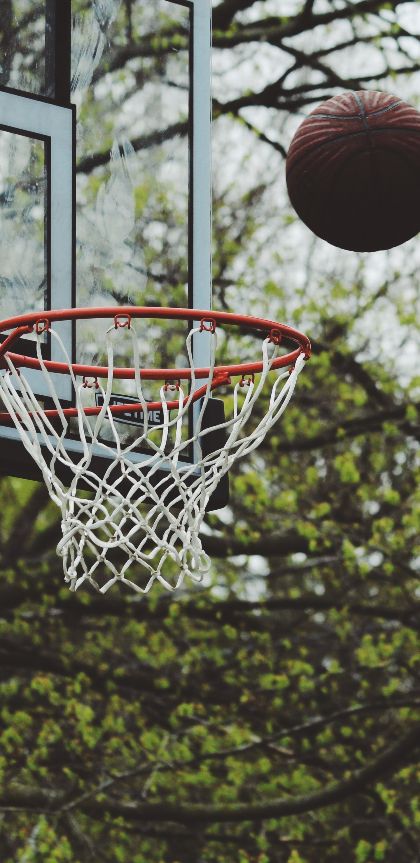 Обои Баскетбол, мяч, баскетбольная площадка, дерево, стритбол в разрешении 1440x2960