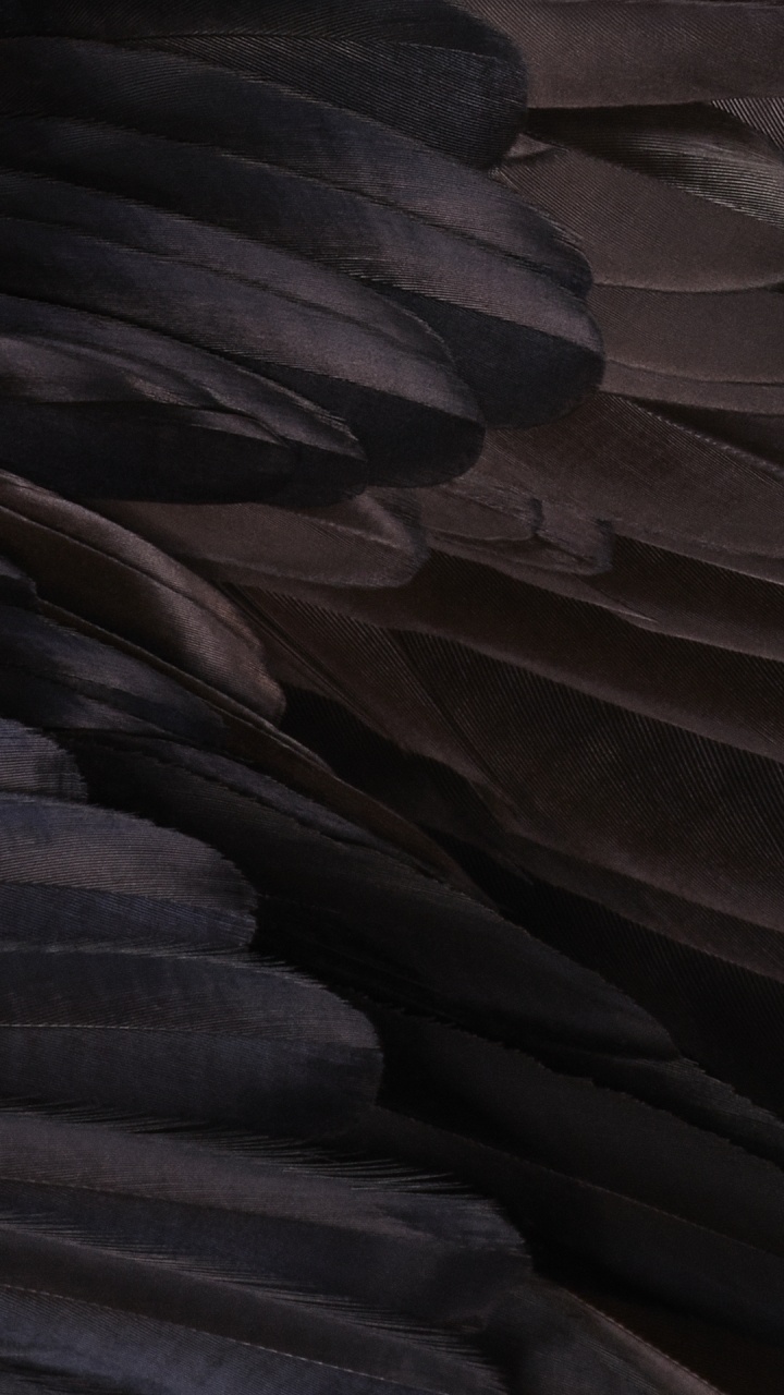 Обои каньон антилопы, Google, смартфон, Google Pixel XL, андроид в разрешении 720x1280