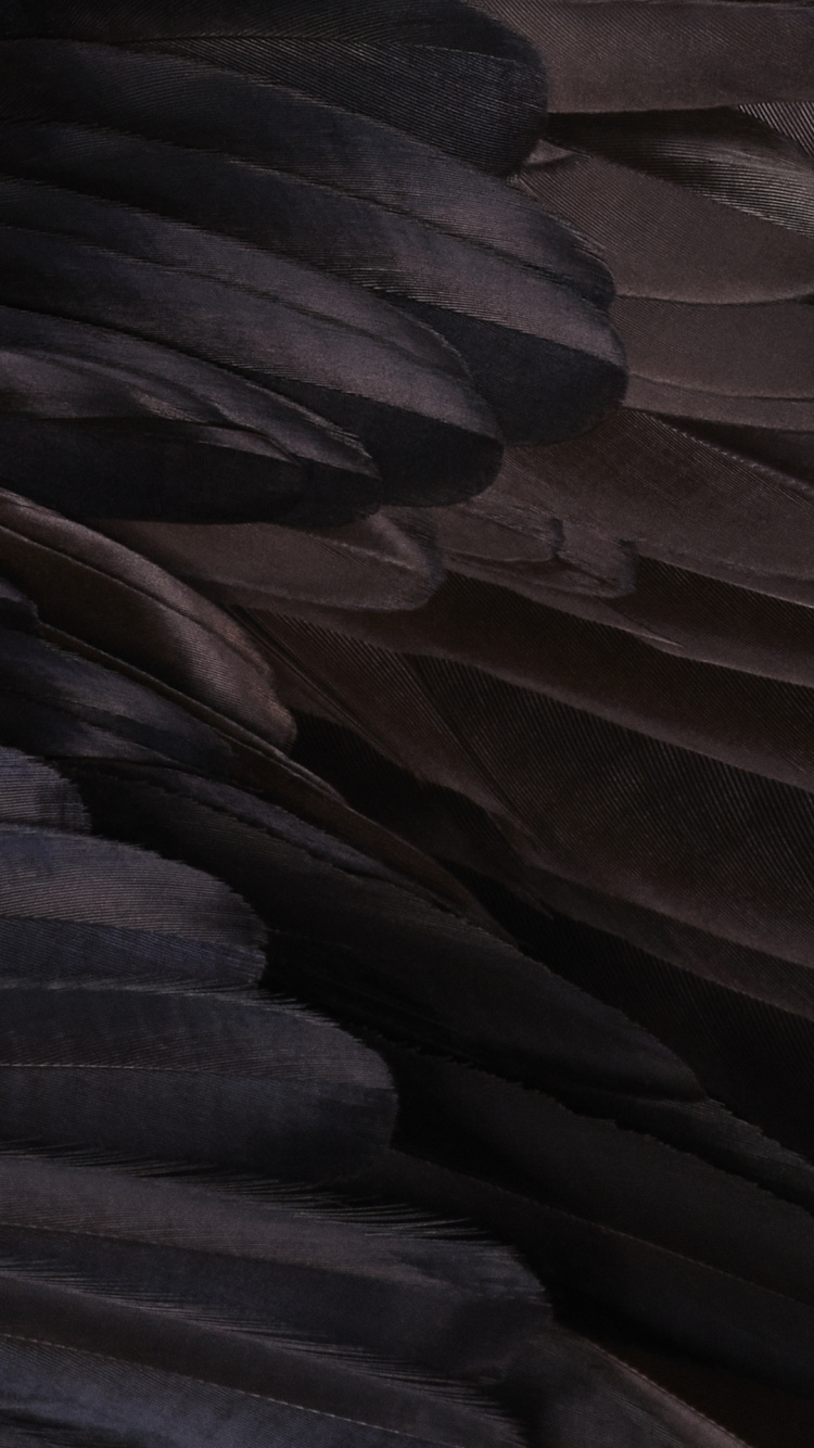 Обои каньон антилопы, Google, смартфон, Google Pixel XL, андроид в разрешении 750x1334