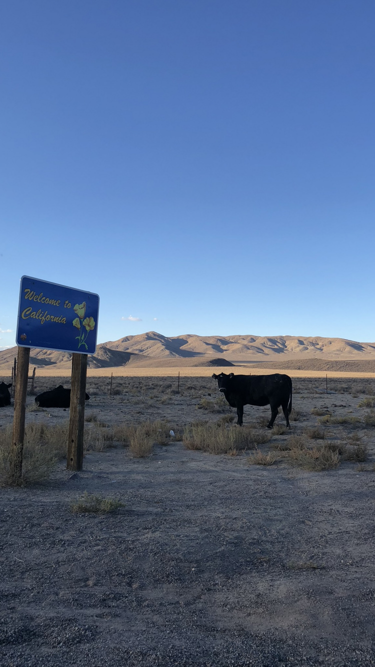 Обои США, Невада, долина смерти, национальный парк долина смерти, пейзаж в разрешении 750x1334