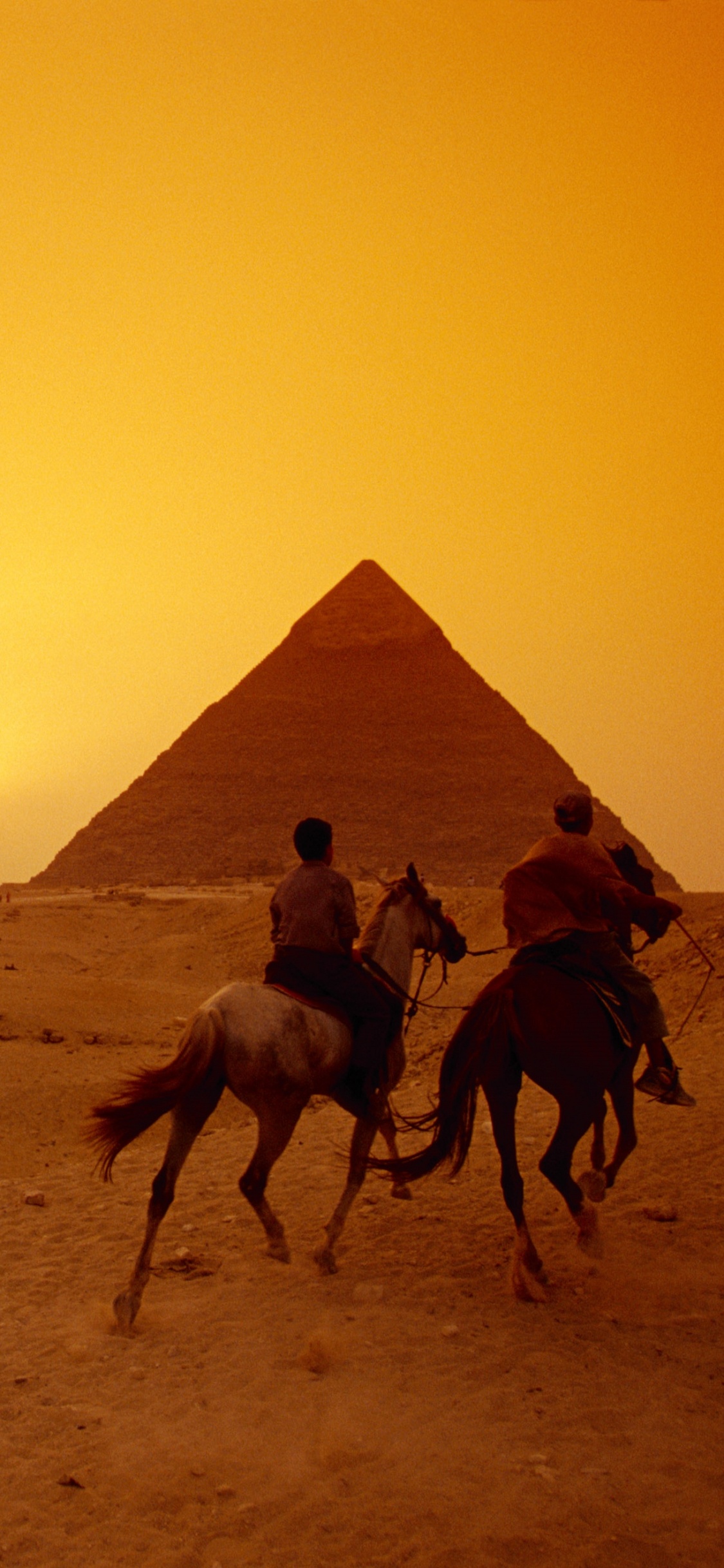Обои верблюд, пустыня, арабский верблюд, пирамида, песок в разрешении 1125x2436