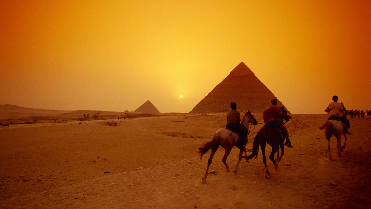 Обои верблюд, пустыня, арабский верблюд, пирамида, песок в разрешении 1280x720