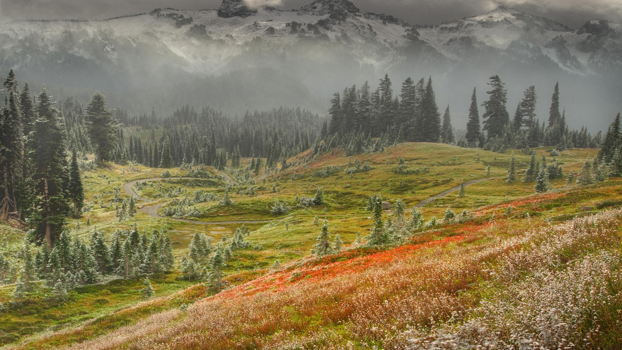 Обои горный рельеф, нагорье, гора, дикая местность, тундра в разрешении 2560x1440