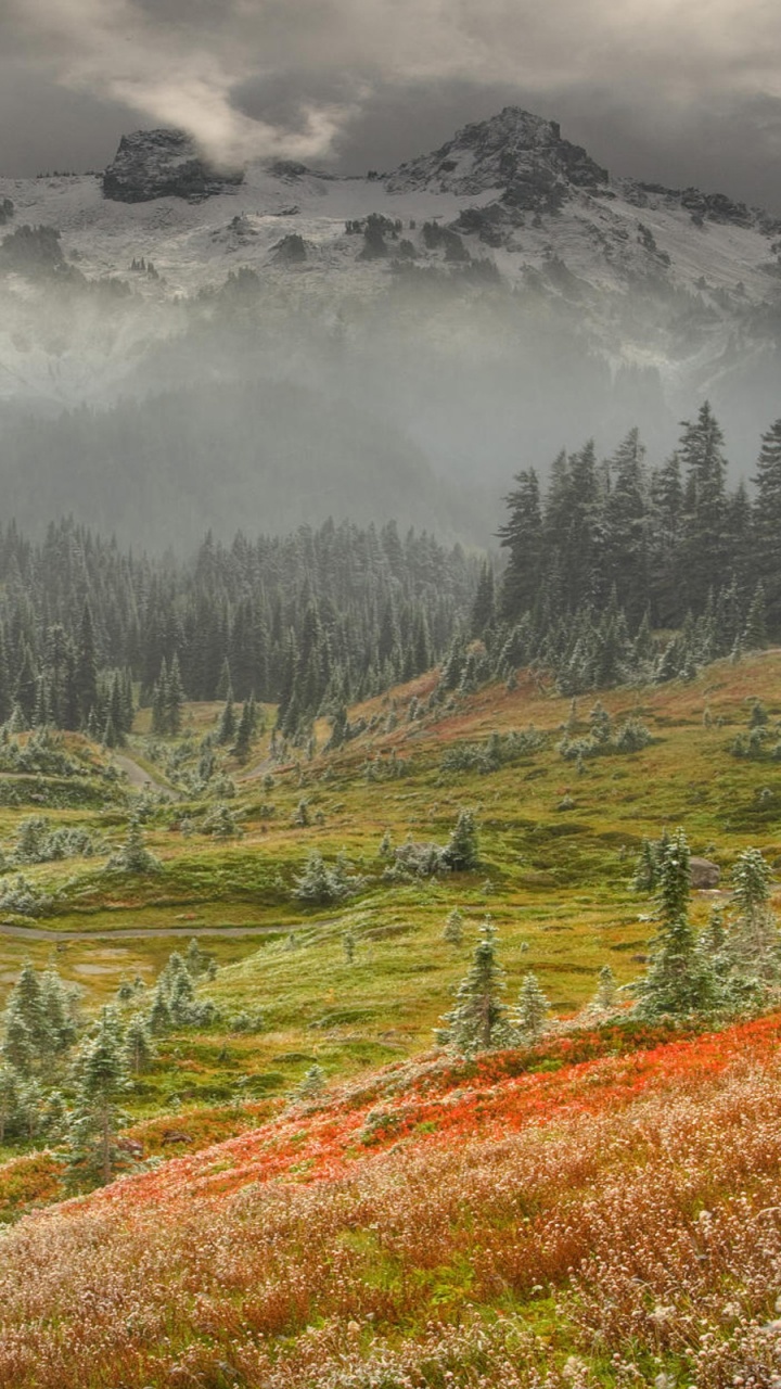 Обои горный рельеф, нагорье, гора, дикая местность, тундра в разрешении 720x1280