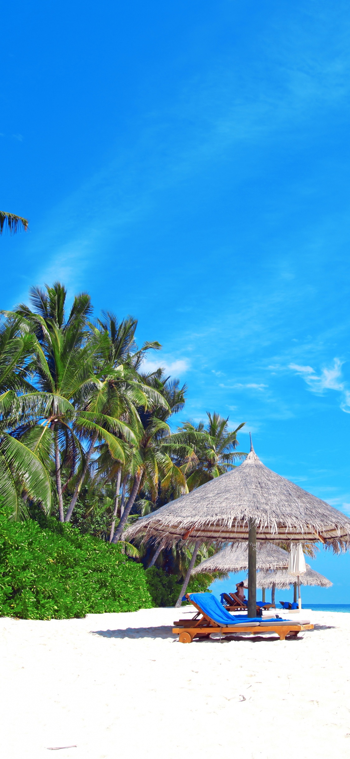 Обои пляж, море, берег, отпуск, тропическая зона в разрешении 1125x2436