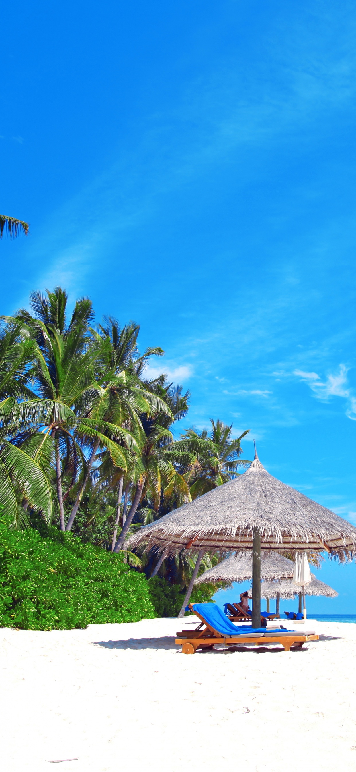 Обои пляж, море, берег, отпуск, тропическая зона в разрешении 1242x2688