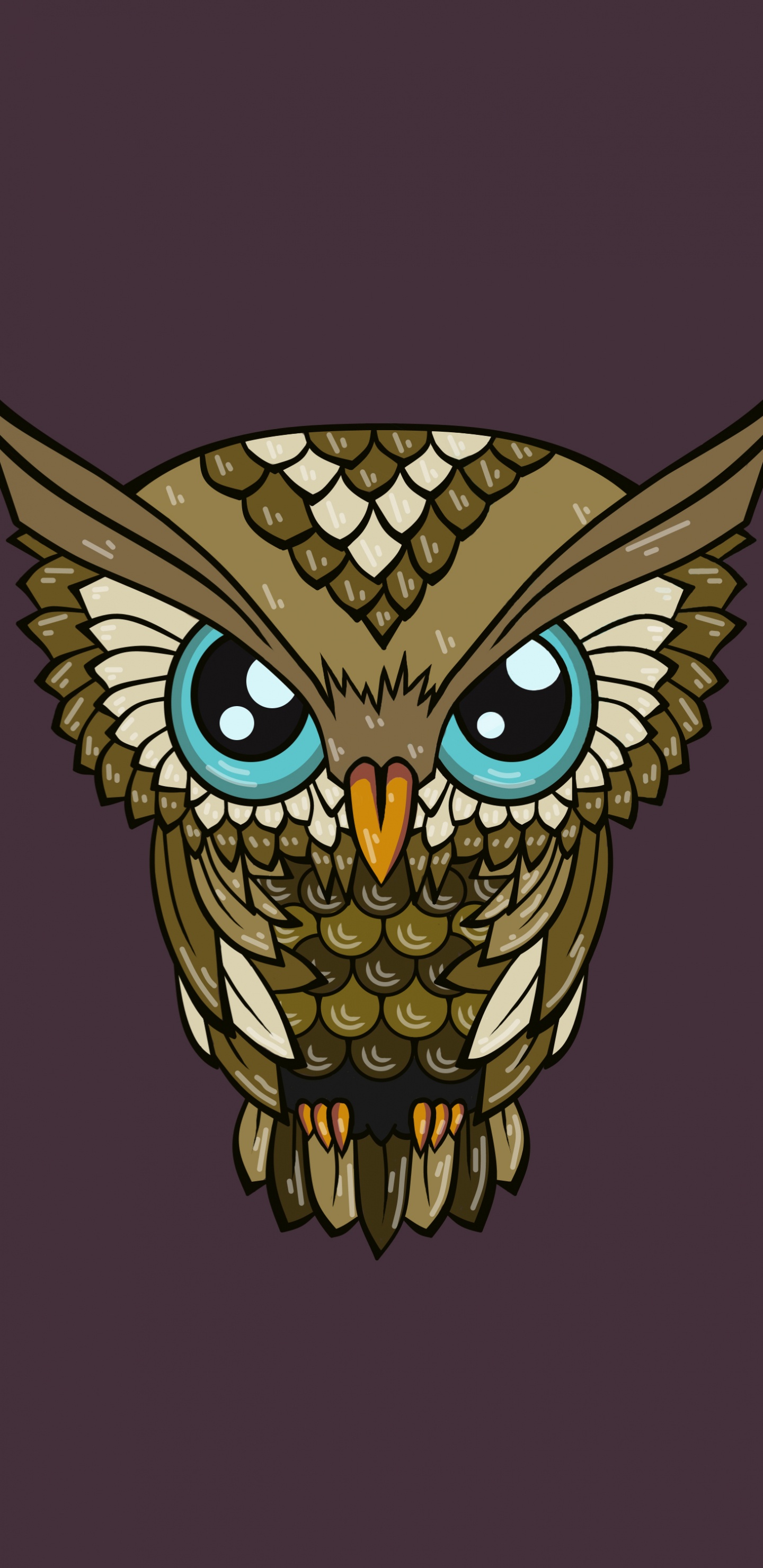 Обои сова, голова, иллюстрация, хищная птица, птица в разрешении 1440x2960