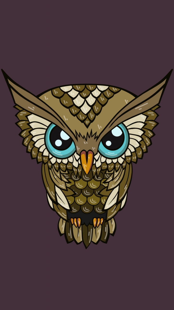 Обои сова, голова, иллюстрация, хищная птица, птица в разрешении 720x1280