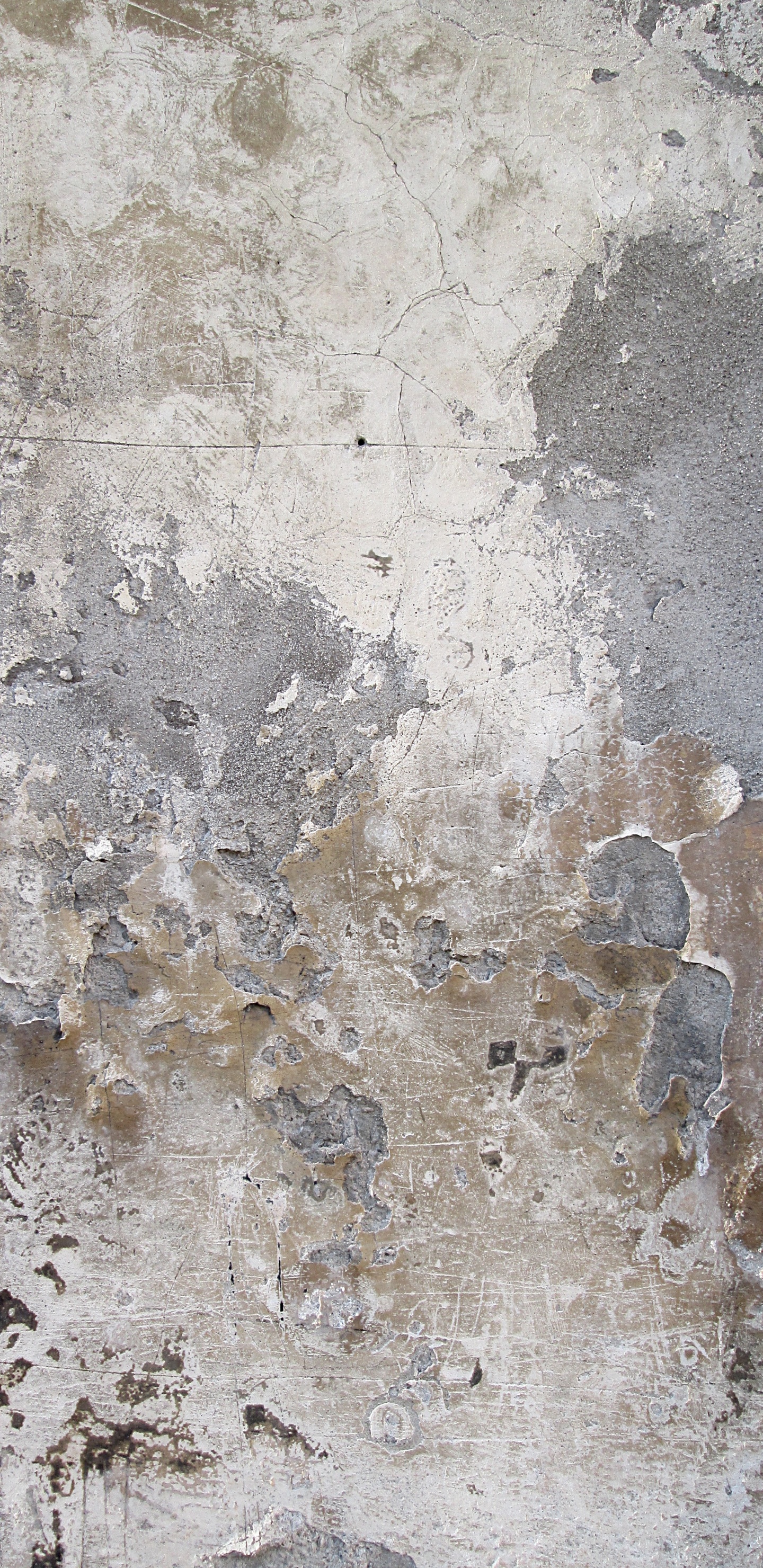 Обои бетон, стена, цемент, этаж, текстура в разрешении 1440x2960