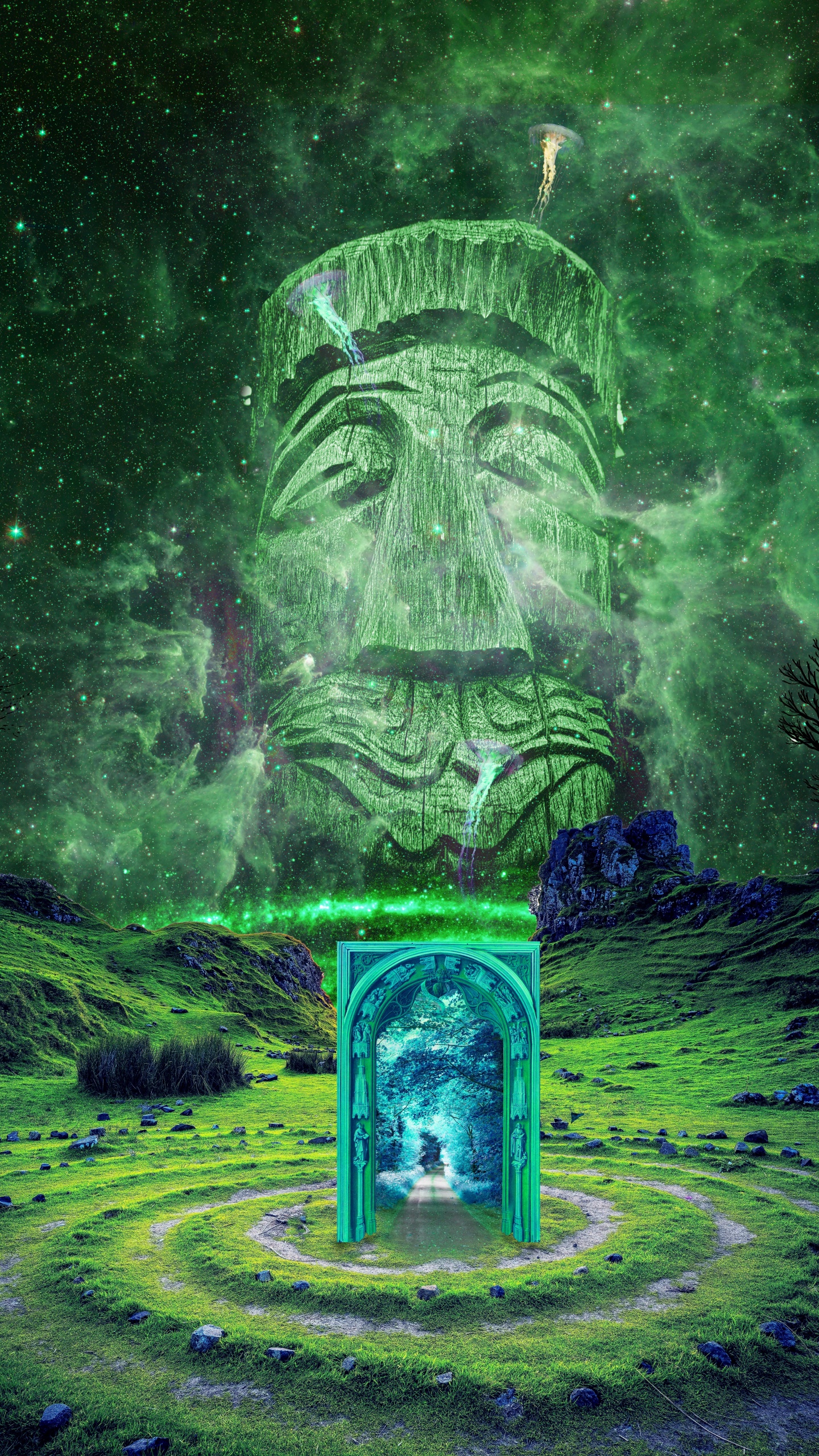 Обои зеленый, природа, свет, дерево, атмосфера в разрешении 1440x2560