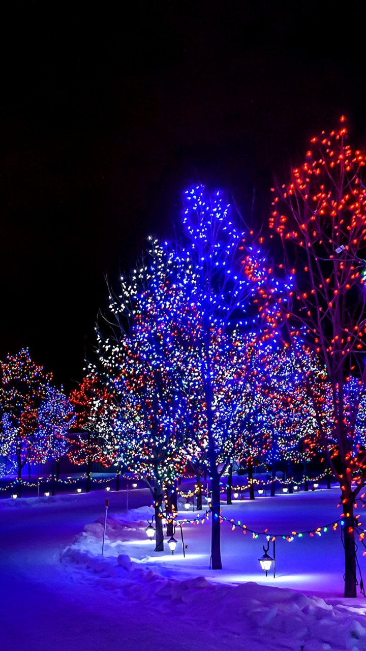 Обои Рождественские огни, освещение, свет, дерево, синий в разрешении 720x1280