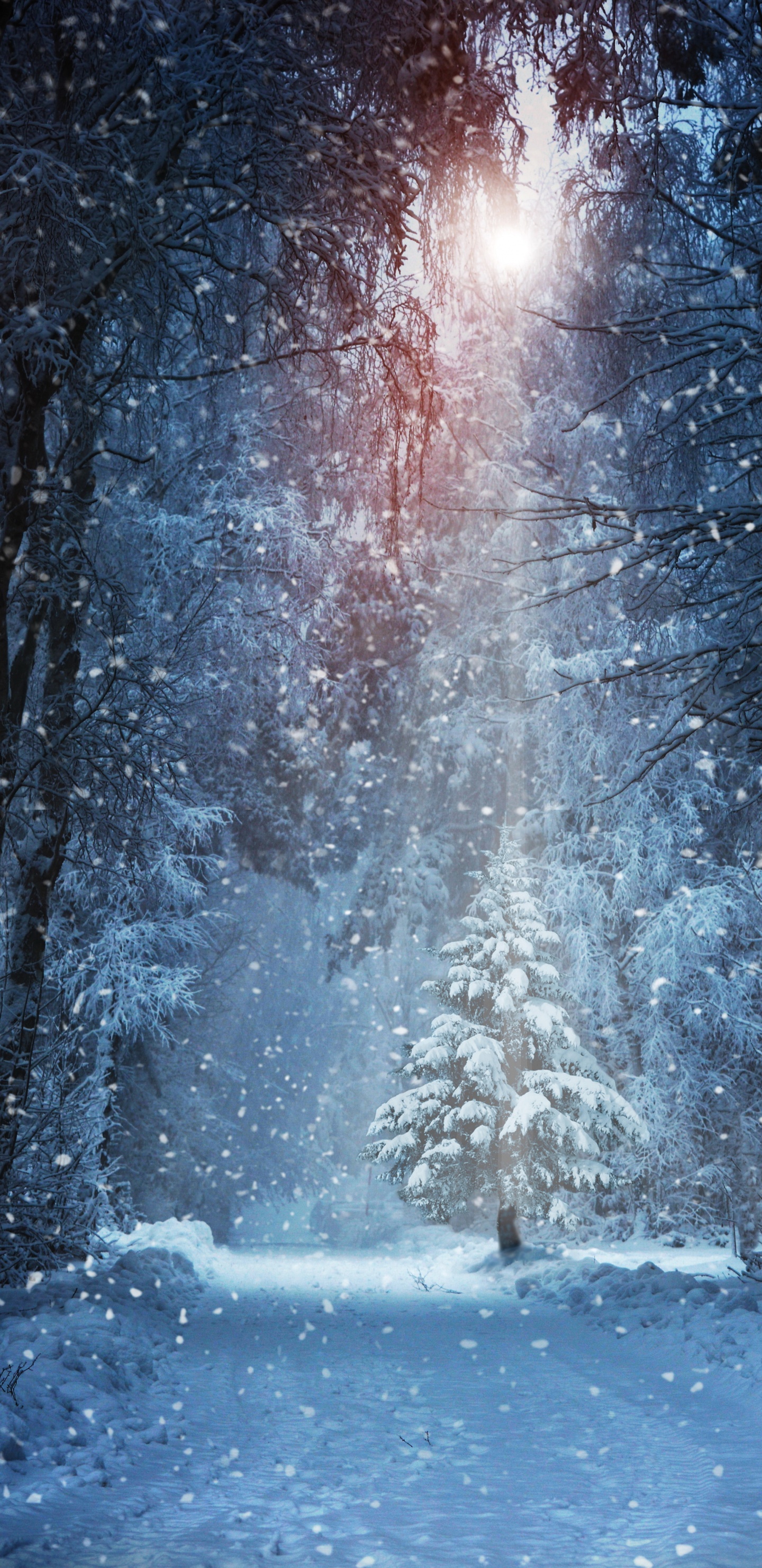 Обои снег, зима, вода, природа, свет в разрешении 1440x2960