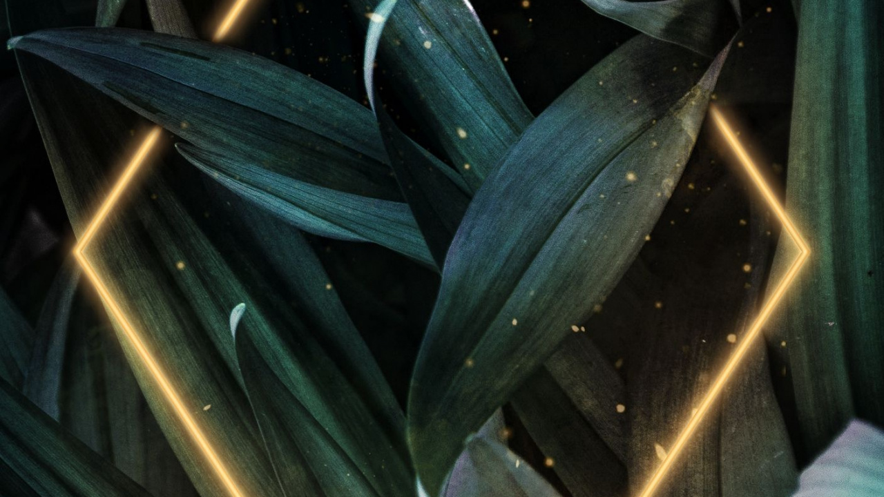 Обои арт, автомобильное освещение, наземное растение, электрик, космос в разрешении 1280x720