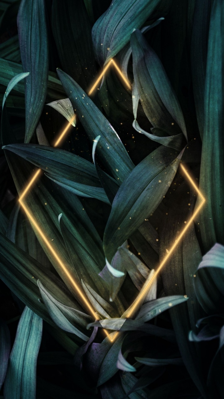 Обои арт, автомобильное освещение, наземное растение, электрик, космос в разрешении 720x1280