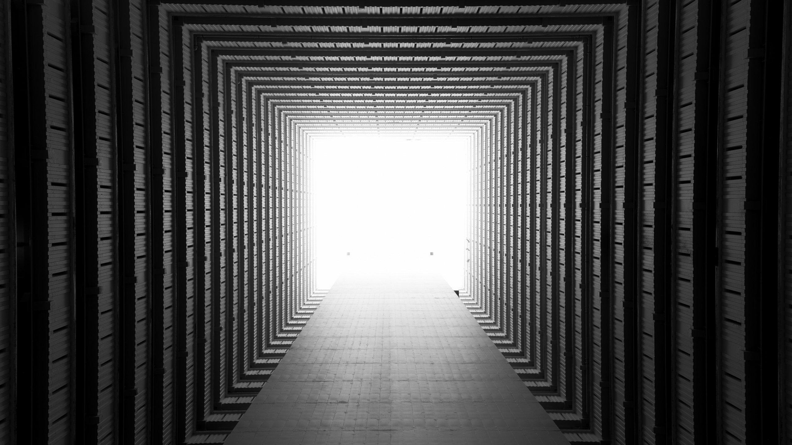 Обои черный, белые, свет, линия, монохромный в разрешении 2560x1440