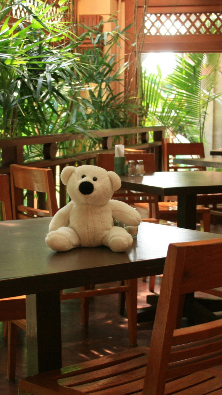 Обои плюшевый мишка, мебель, прибежище, Мишка, стул в разрешении 750x1334