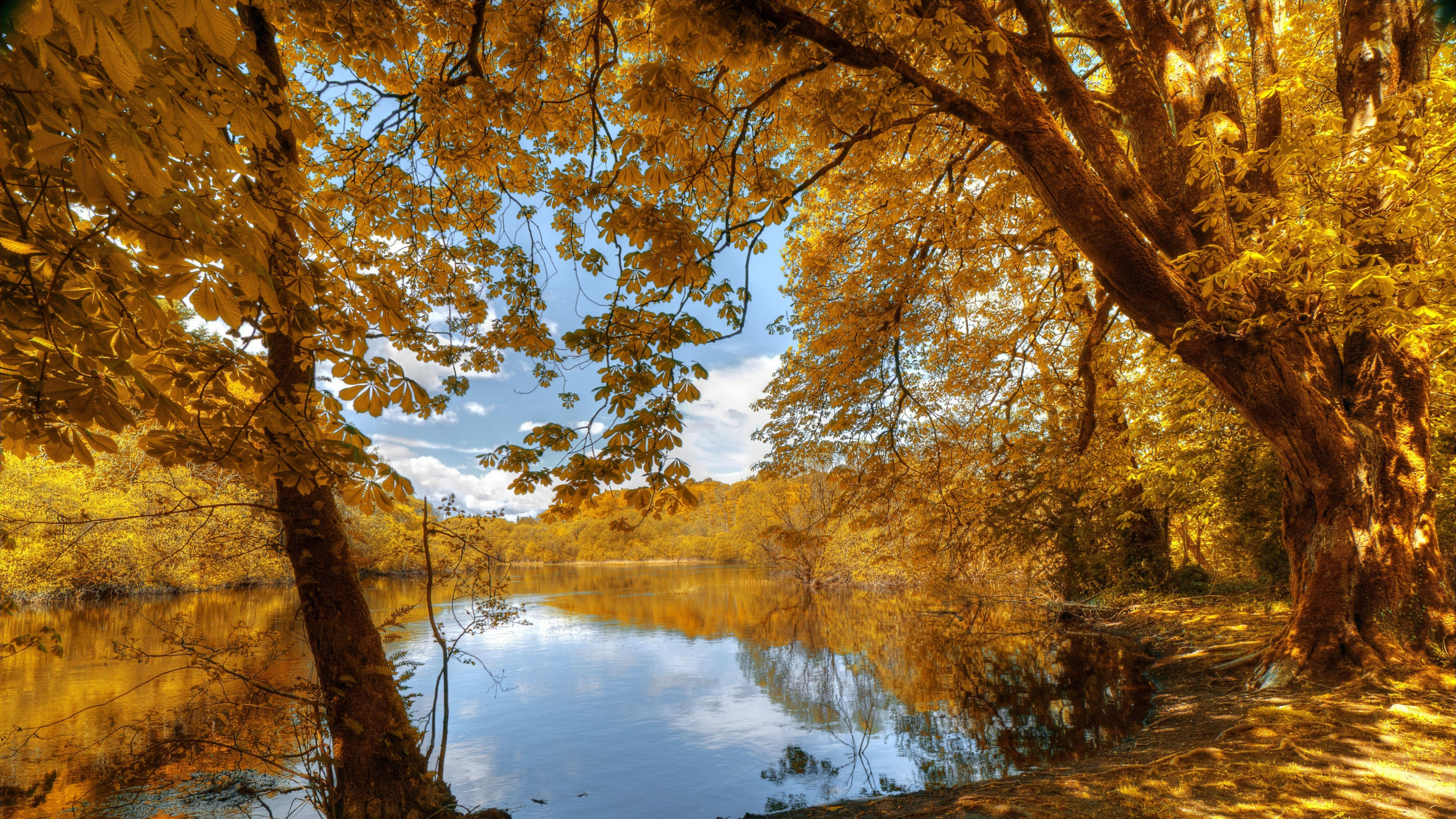 Обои стена, постер, вода, растение, гидроресурсы в разрешении 3840x2160