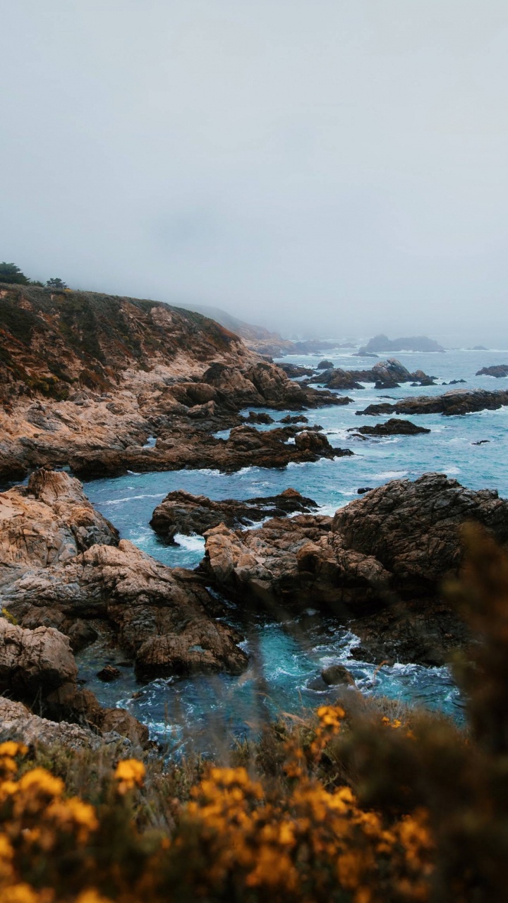 Обои древесина, картинная рамка, вода, гидроресурсы, природный ландшафт в разрешении 720x1280