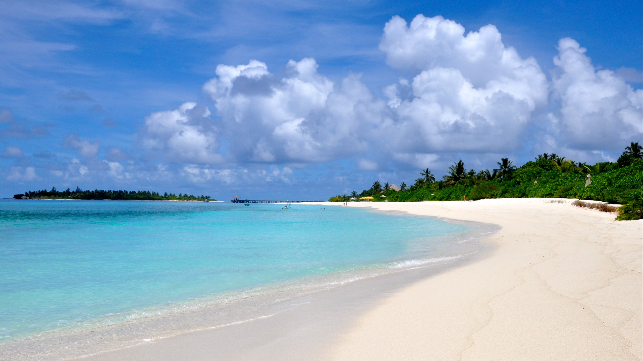 Обои пляж, тропическая зона, море, берег, прибрежные и океанические рельефы в разрешении 2560x1440