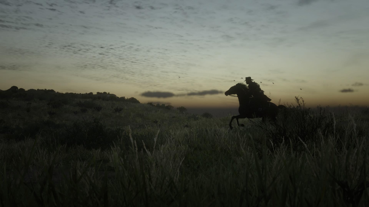 Обои степ, кустарник, облако, растение, природный ландшафт в разрешении 1280x720