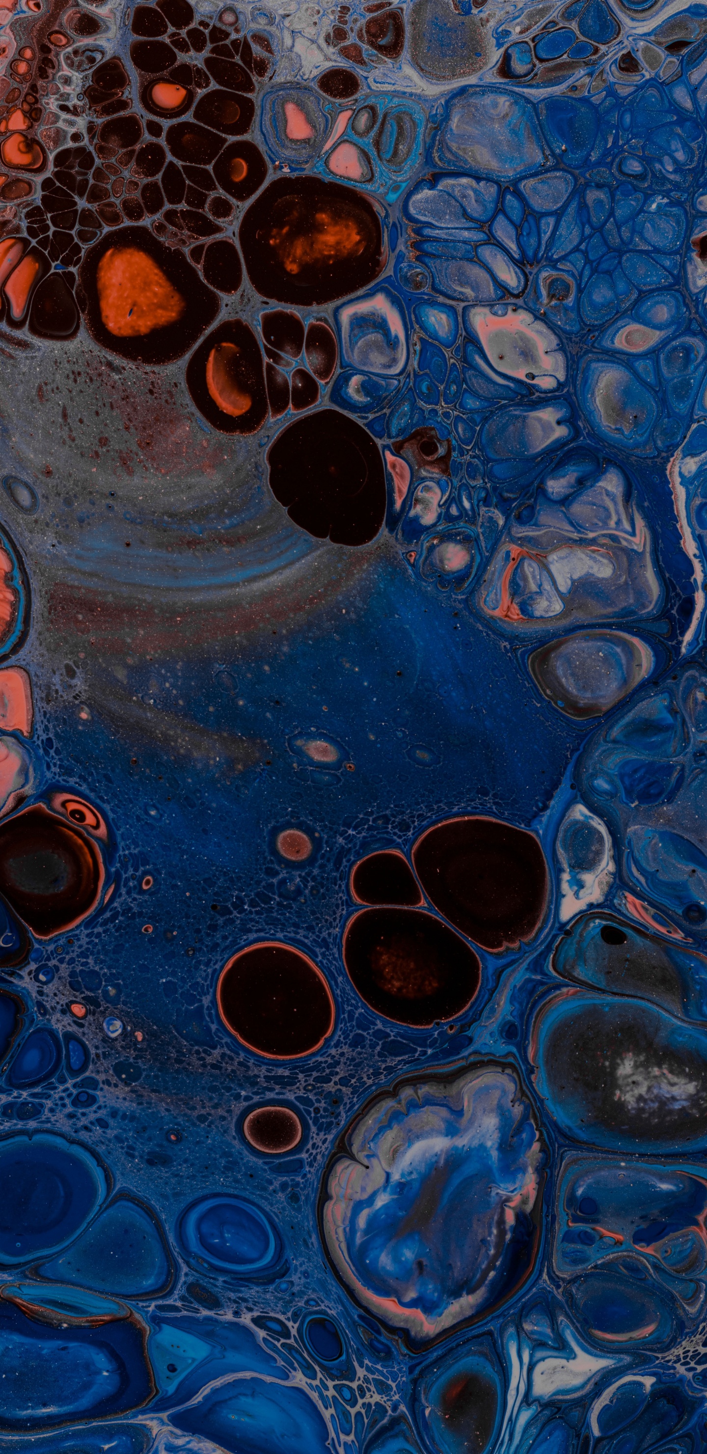 Обои жидкий, арт, электрик, фрактальное искусство, психоделическое искусство в разрешении 1440x2960