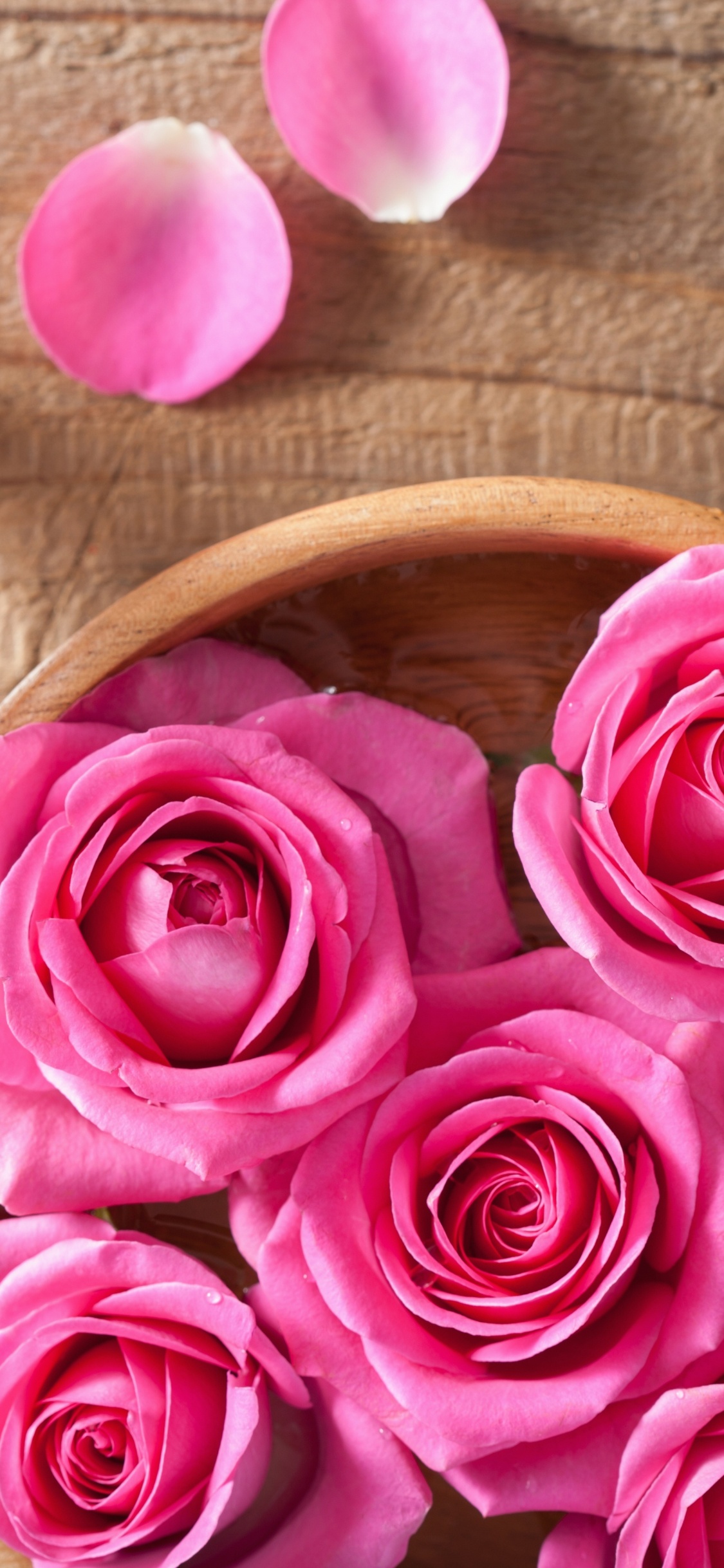 Обои Роза, цветок, розовый, лепесток, сердце в разрешении 1125x2436