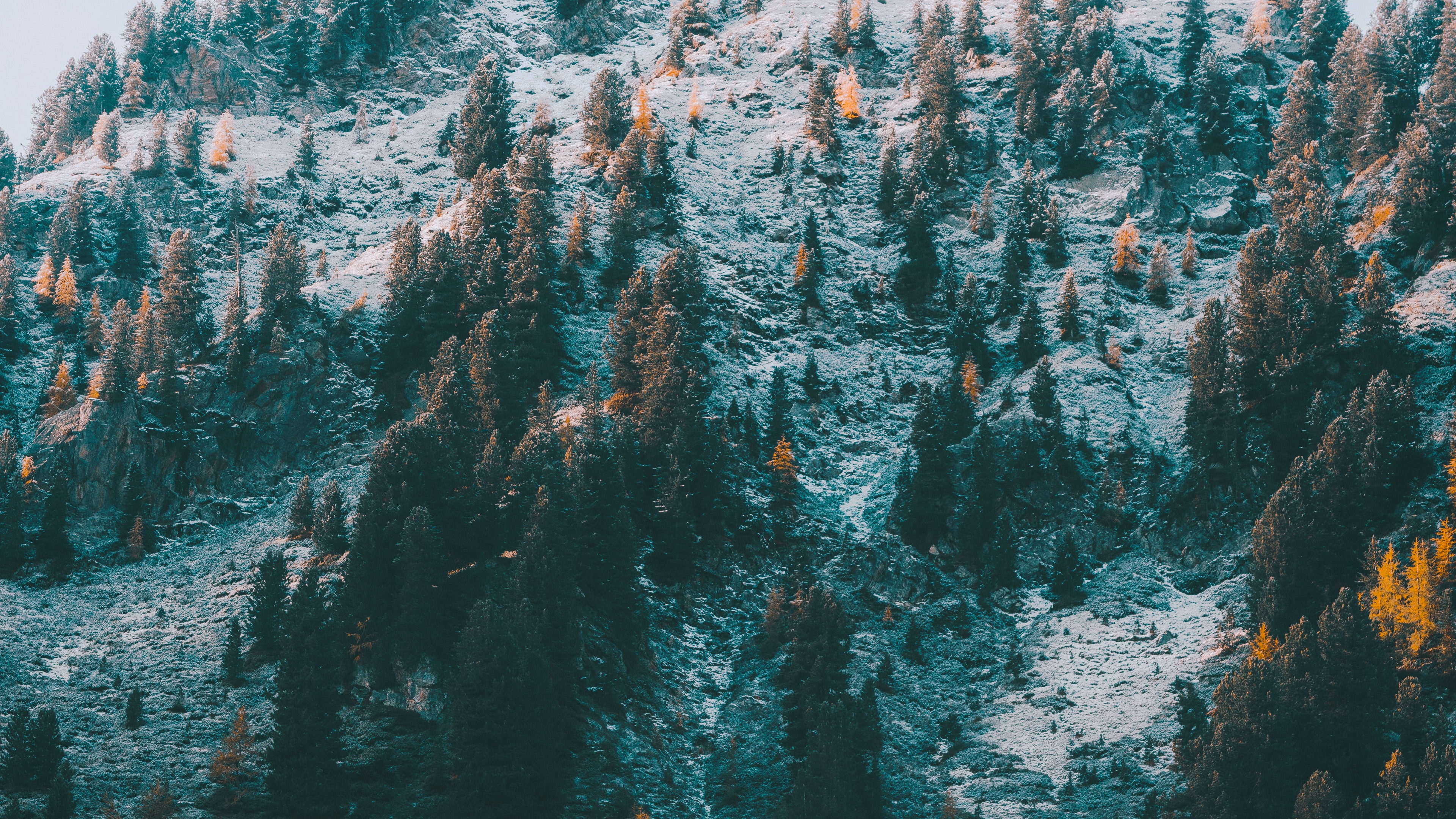 Обои М-дерево, бирюза, горный хребет, пейзажи гор, зима в разрешении 3840x2160