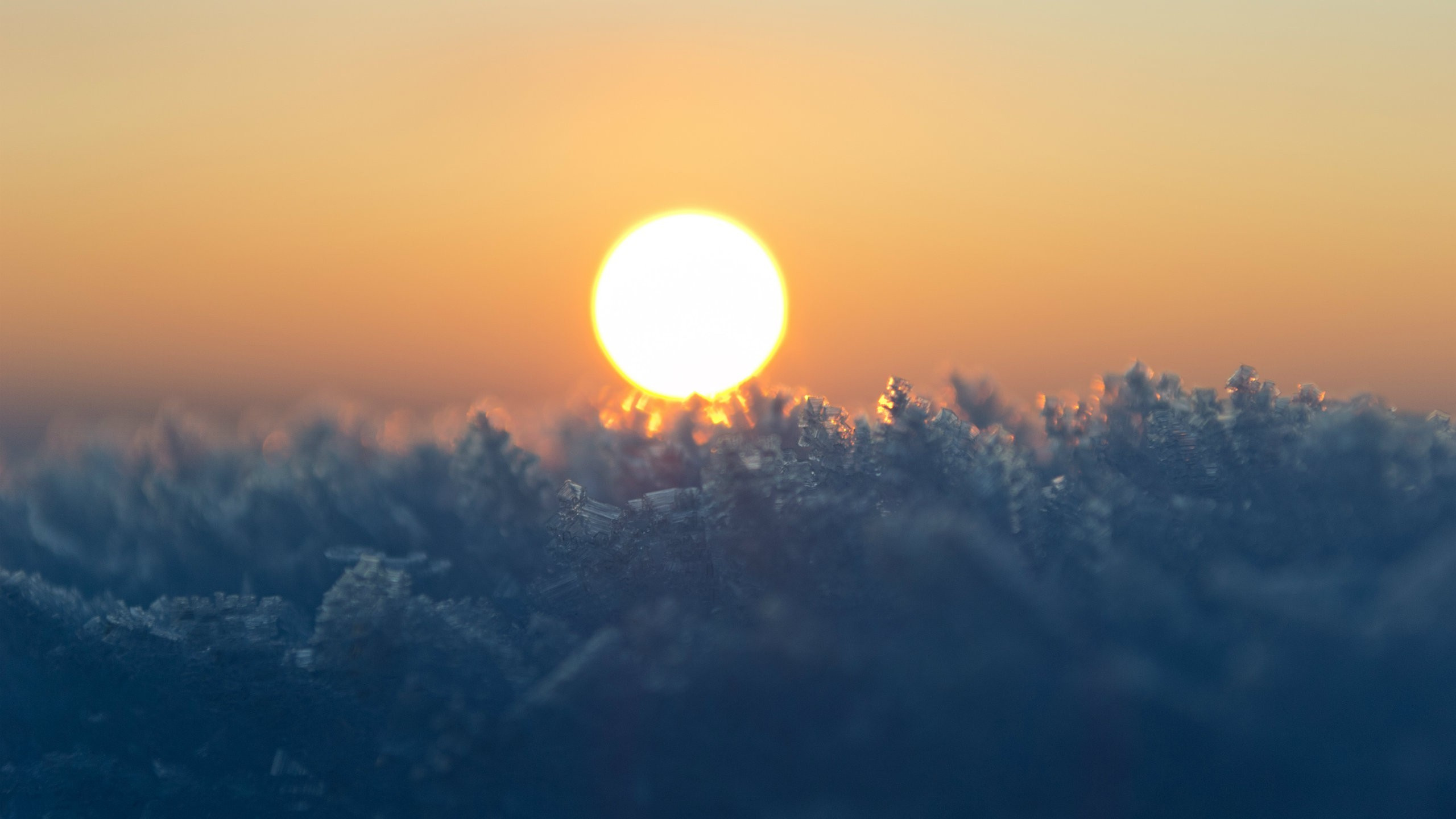 Обои восход солнца, рассвет, закат, утро, дневное время в разрешении 2560x1440