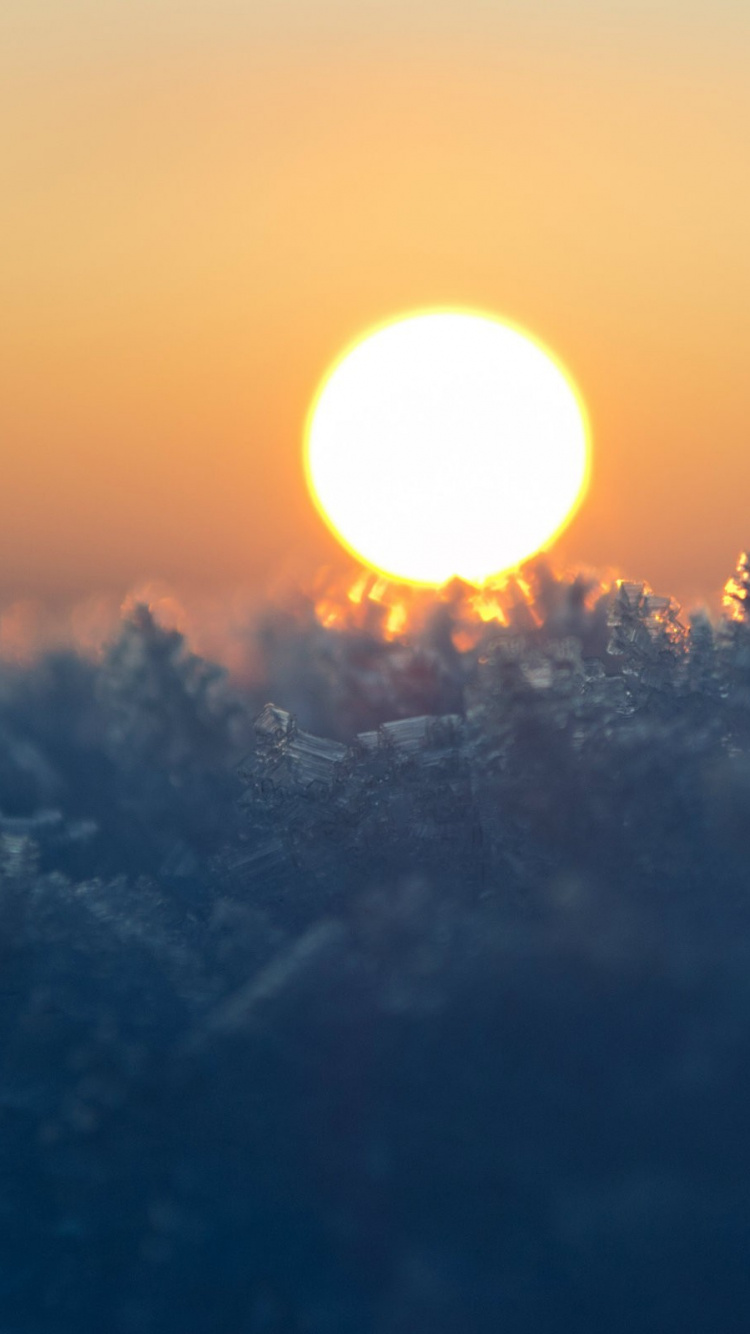 Обои восход солнца, рассвет, закат, утро, дневное время в разрешении 750x1334