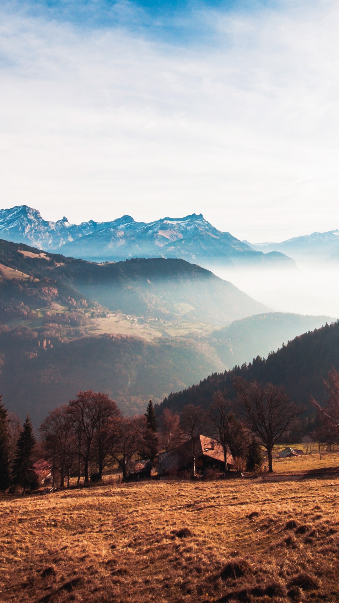 Обои саммит, килоньютон, дерево, книга, Долина в разрешении 1080x1920