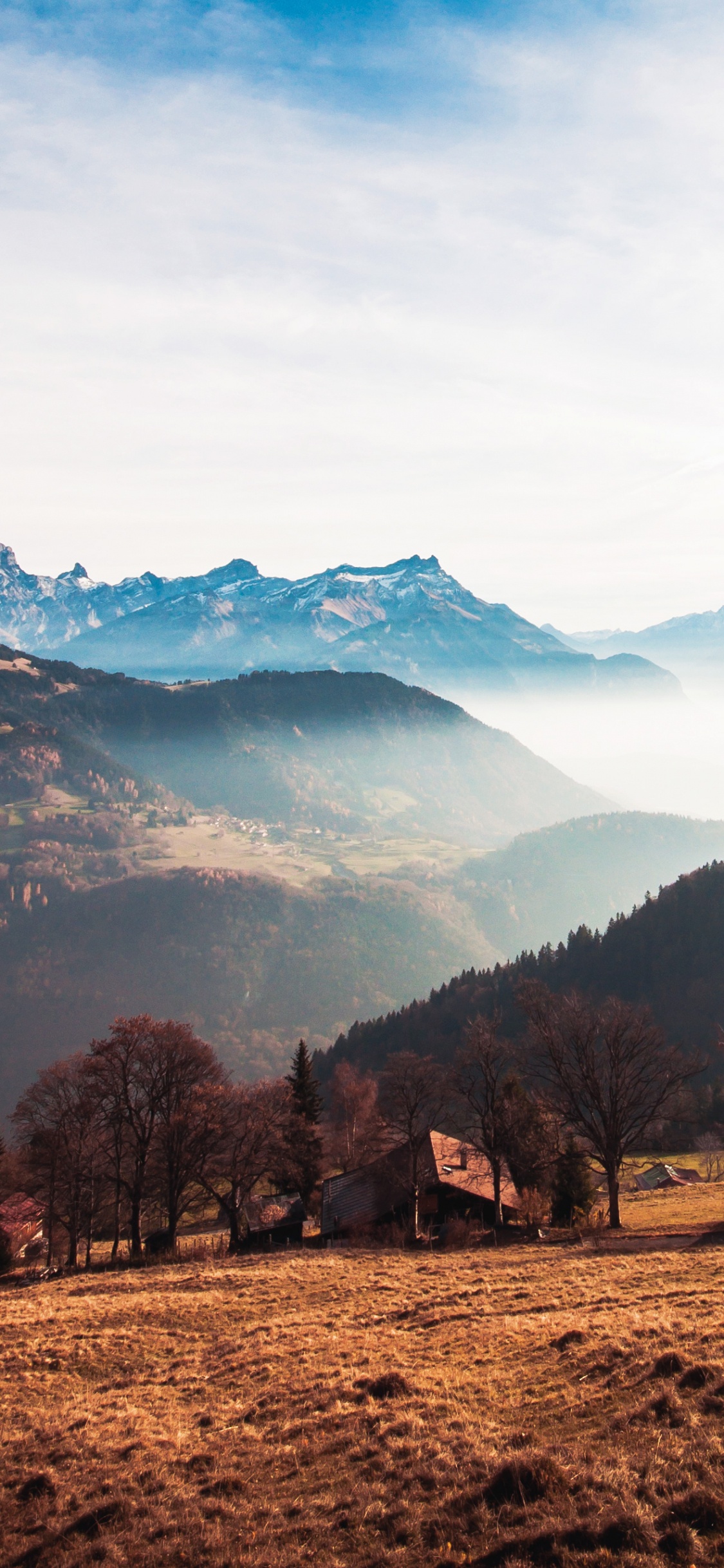 Обои саммит, килоньютон, дерево, книга, Долина в разрешении 1125x2436