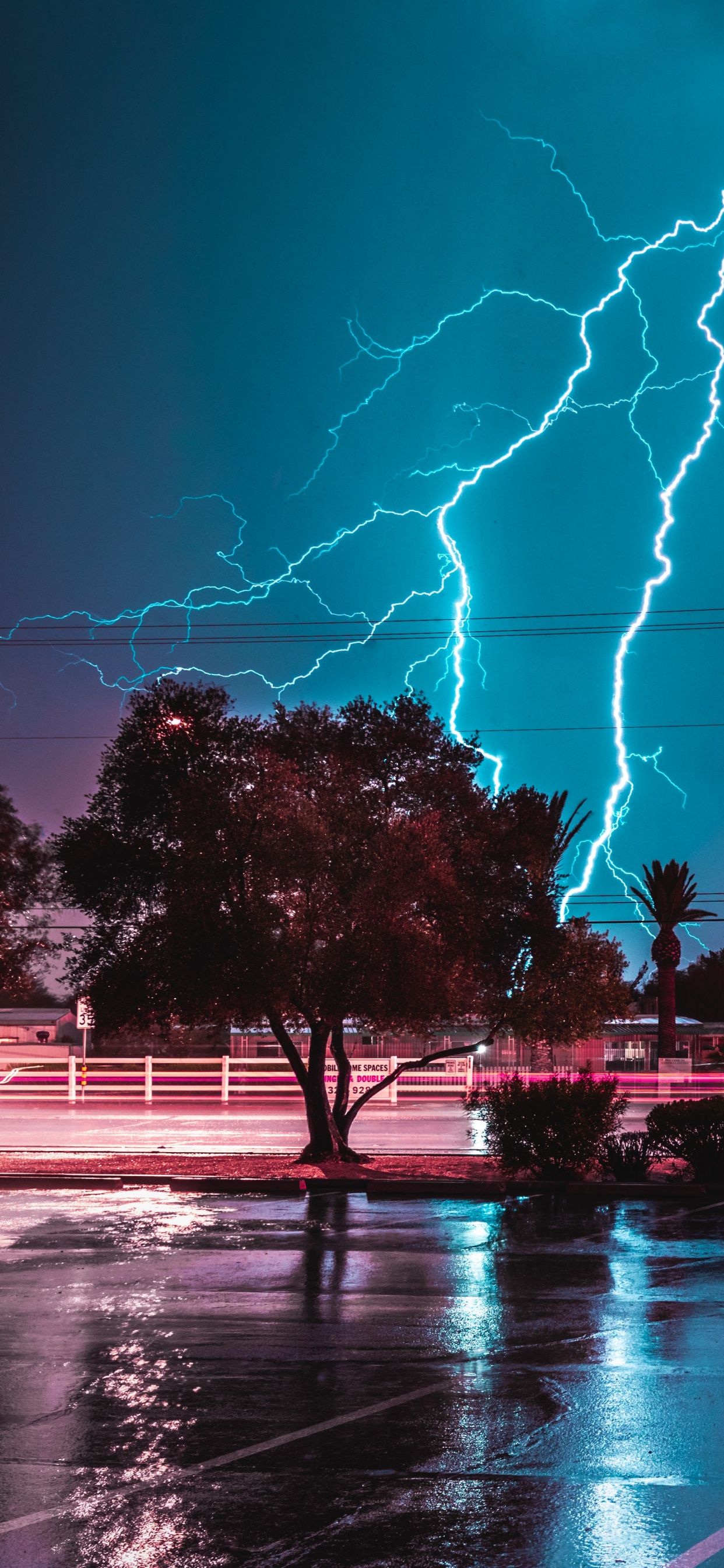 Обои молния, Гроза, гром, природа, облако в разрешении 1242x2688