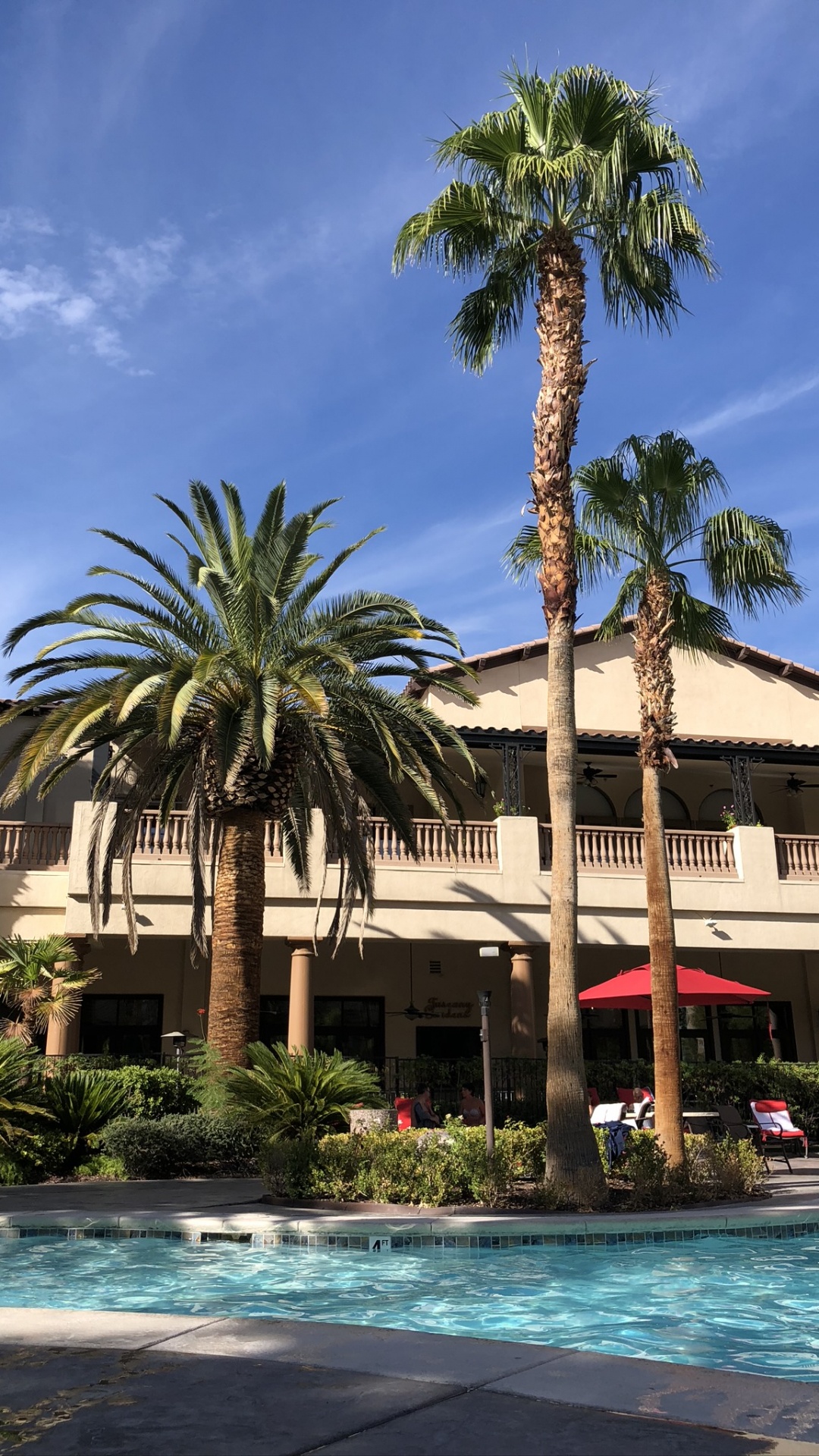 Обои прибежище, плавательный бассейн, недвижимость, пальмовые рощи, вода в разрешении 1080x1920