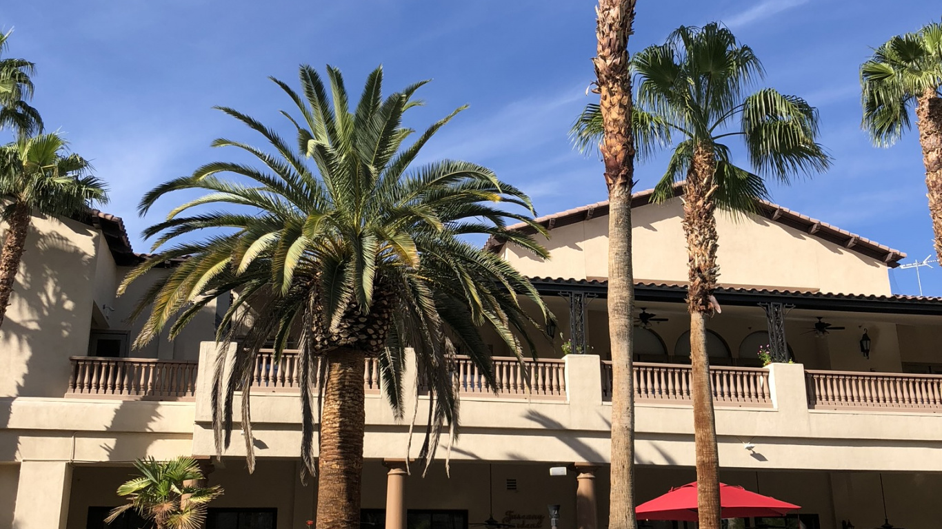 Обои прибежище, плавательный бассейн, недвижимость, пальмовые рощи, вода в разрешении 1366x768