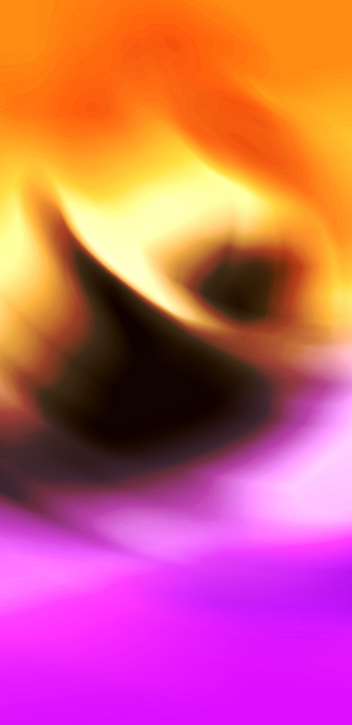 Обои Апельсин, красочность, пурпур, растение, лепесток в разрешении 1440x2960