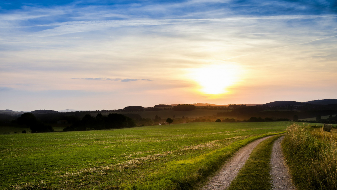 Обои природа, сенокосное угодье, облако, утро, поле в разрешении 1280x720