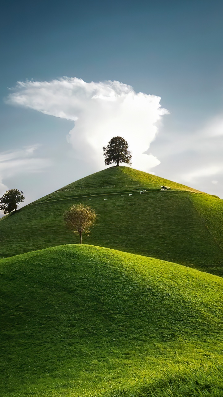 Обои облако, растение, природный ландшафт, Люди в природе, дерево в разрешении 720x1280