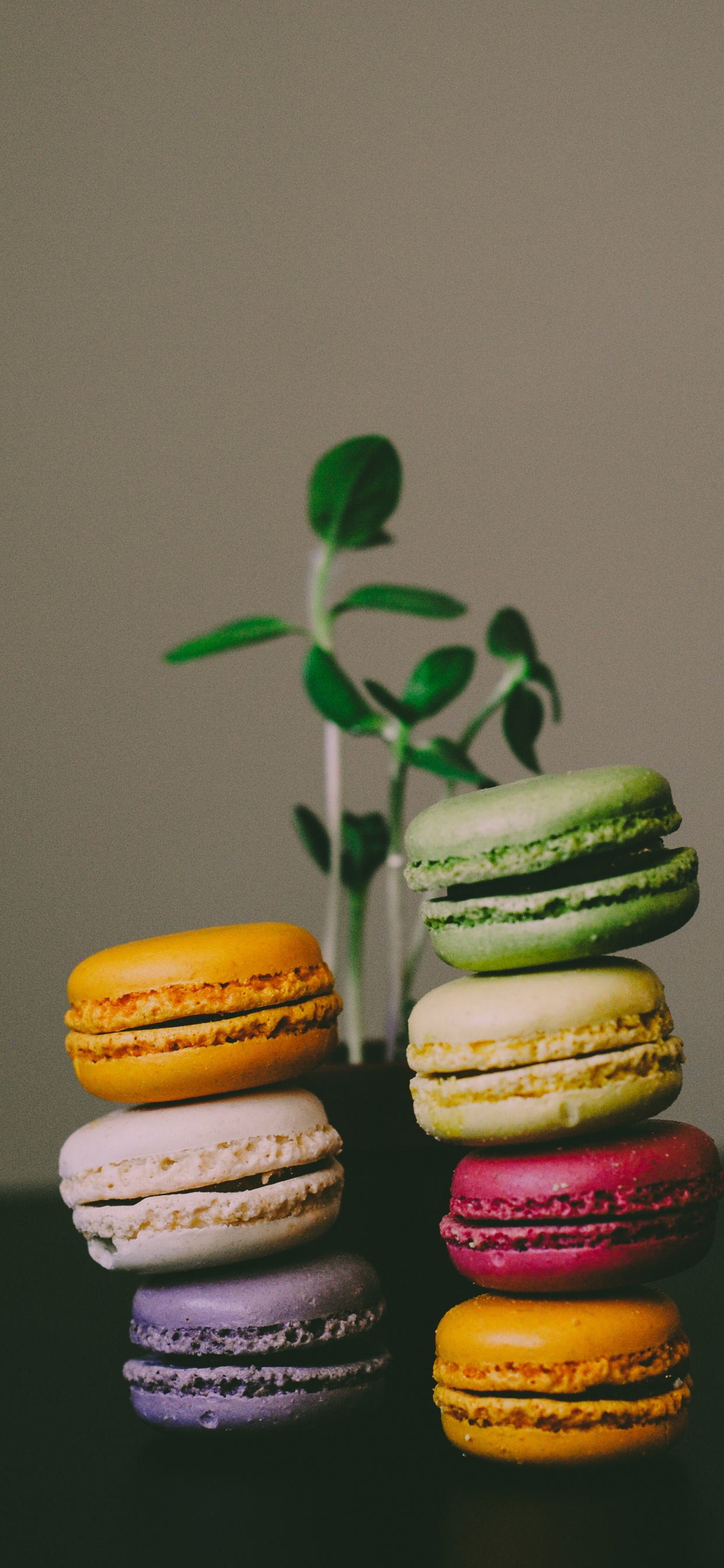 Обои миндальное печенье, макарон, миндальный бисквит, пища, сладость в разрешении 1242x2688