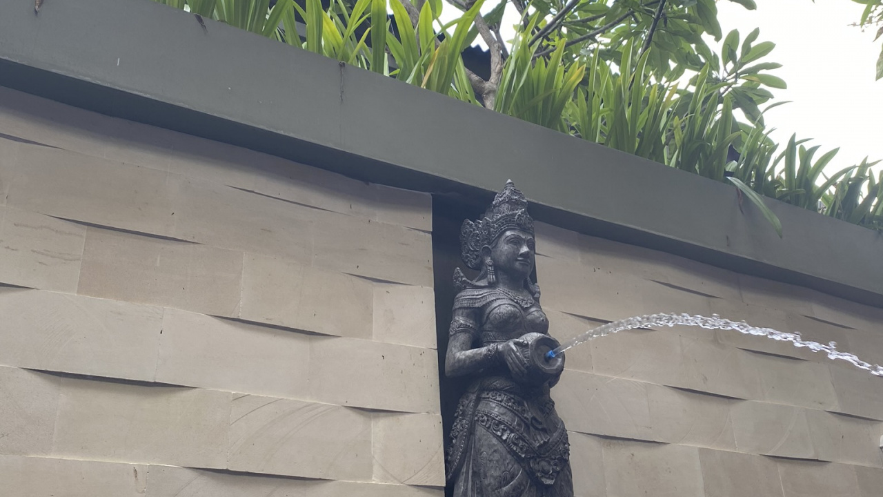 Обои стена, пальмовые рощи, биология, наука, природа в разрешении 1280x720