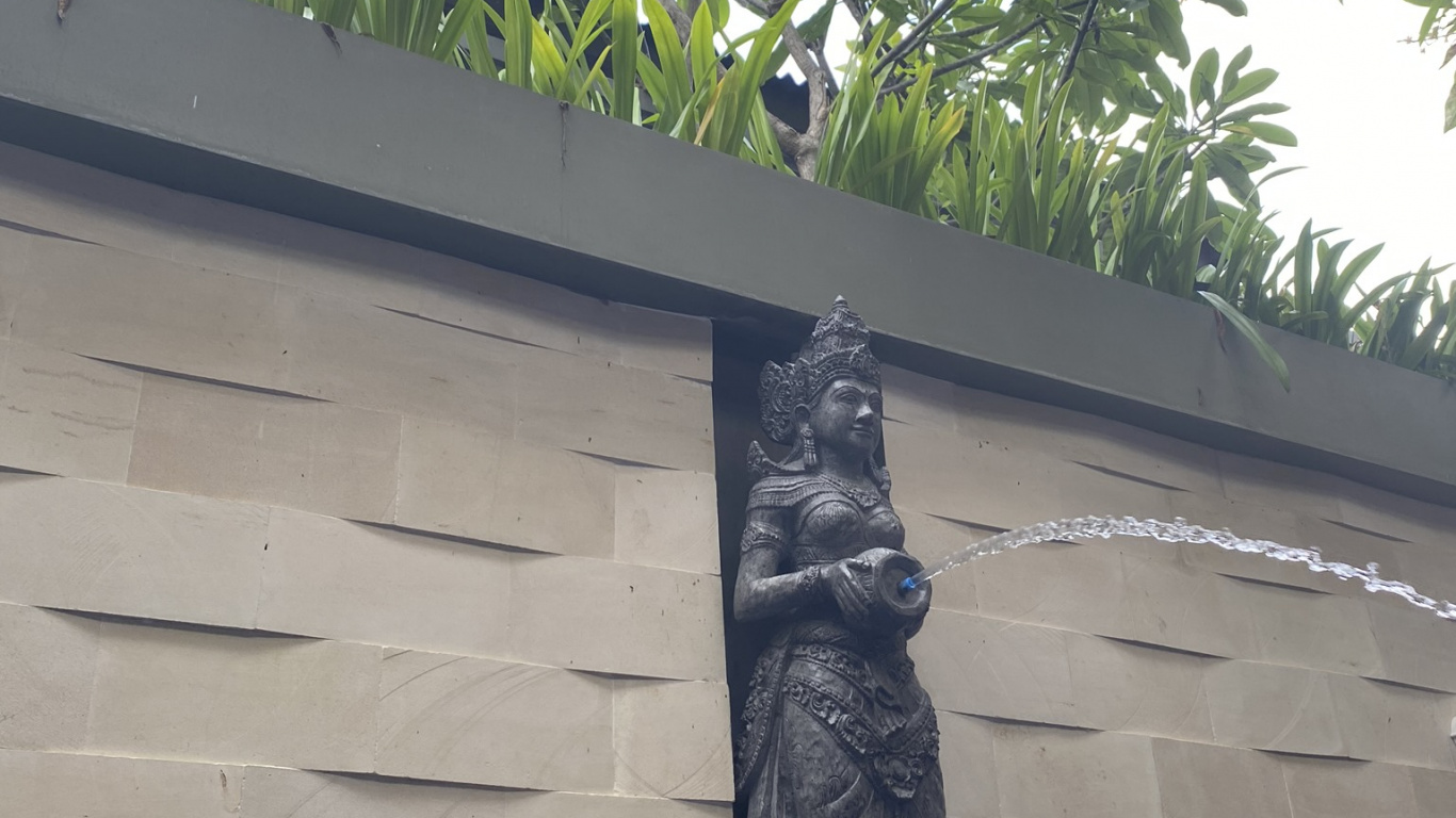 Обои стена, пальмовые рощи, биология, наука, природа в разрешении 1366x768